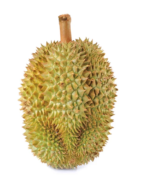 Durian beyaz arkaplanda izole edildi