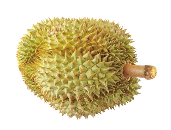 Durian beyaz arkaplanda izole edildi