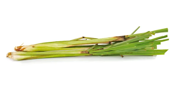 Fresh Lemon Grass on white background — Stock Photo, Image