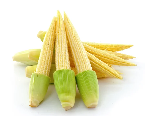 Jonge kleine maïs — Stockfoto