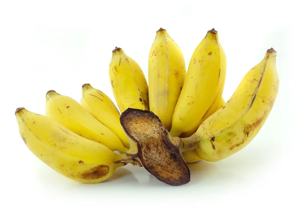 Cultivated banana isolated on white background — Stock Photo, Image