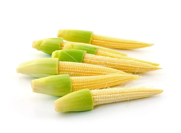 Jonge kleine maïs — Stockfoto