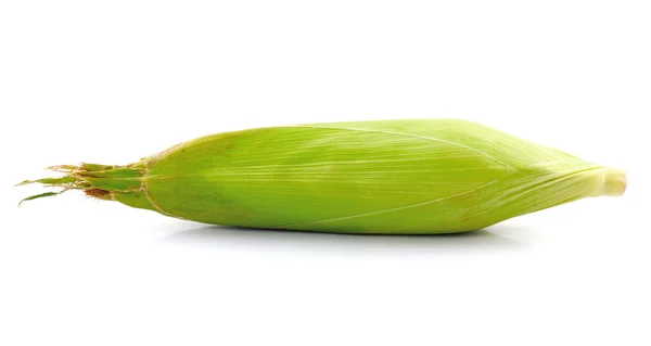 Corn on a white background — Stock Photo, Image