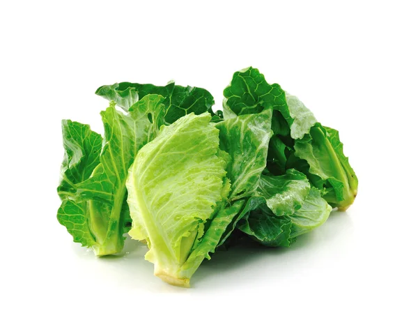 Kinesiska grönkål vegetabiliska — Stockfoto