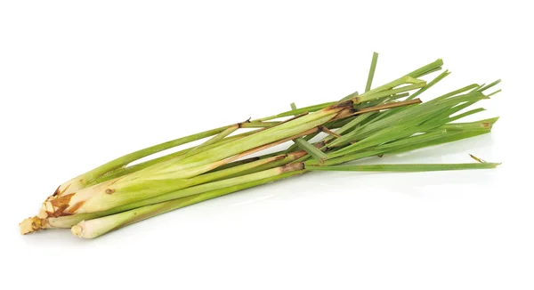 Hierba de limón fresca sobre fondo blanco — Foto de Stock