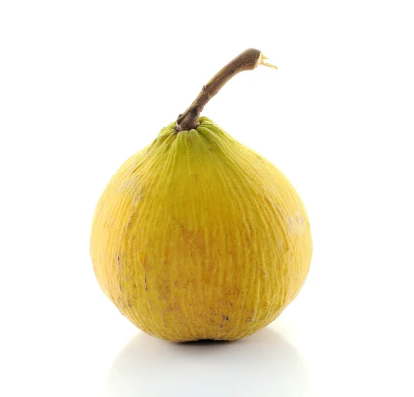 Santol fruit isolated on white background — Stock Photo, Image