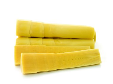 Beyaz arka planda bambu filizleri