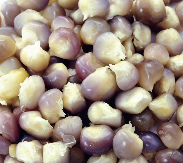 トウモロコシの豆 — ストック写真