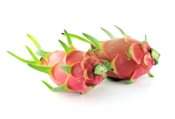 용설란 열매 — 스톡 사진