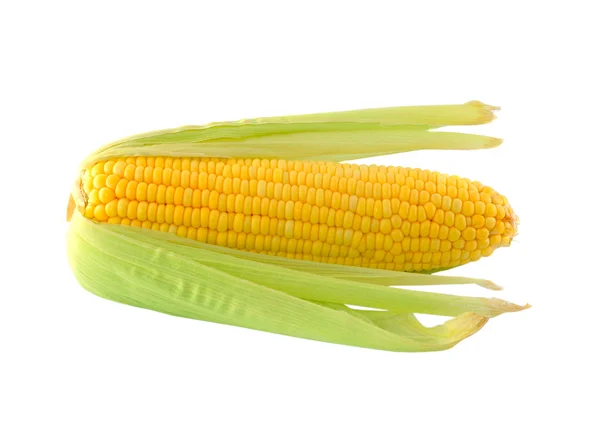 Kukurydza na białym tle — Zdjęcie stockowe