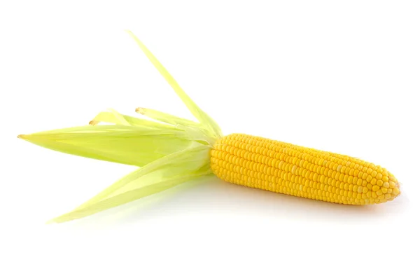 Corn on a white background — Stock Photo, Image