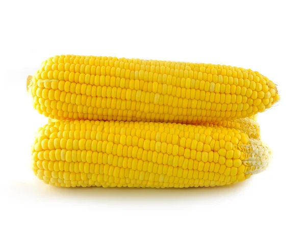 Corn on a white background — Stock Photo, Image