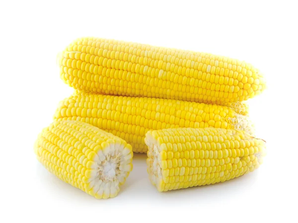 Érett sárga kukorica elszigetelt fehér — Stock Fotó