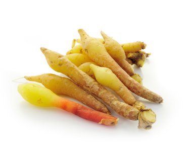 Beyaz arka plan üzerinde izole taze galingale