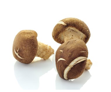 Shiitake mushrooms (Lentinula edodes). clipart