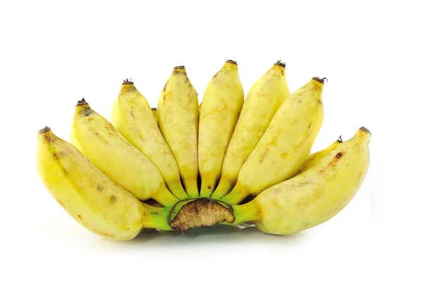 Plátano cultivado maduro — Foto de Stock