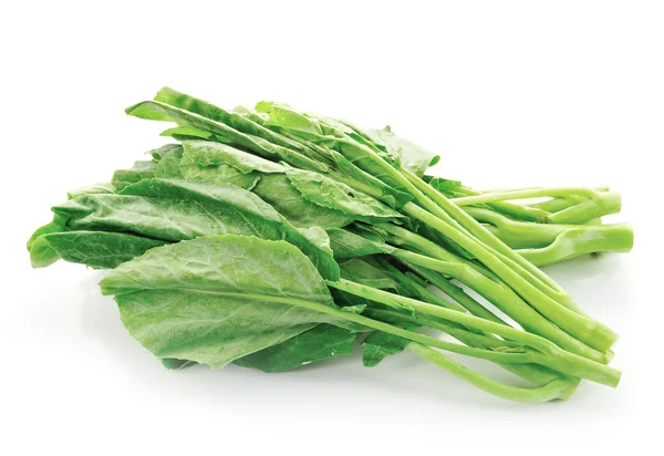 Kinesiska grönkål vegetabiliska — Stockfoto