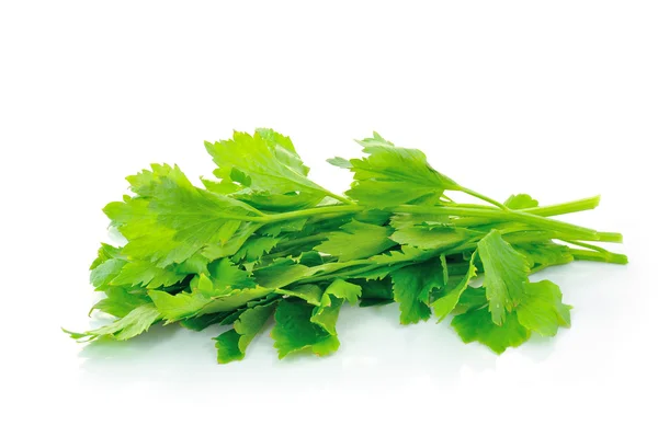 Celery on white background — Stock Photo, Image