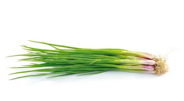 Beautiful spring onions on a white background. — Stock Photo, Image