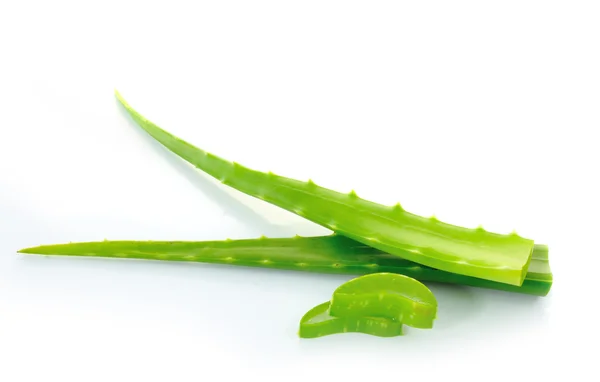 Aloe vera folha fresca. isolado sobre branco — Fotografia de Stock
