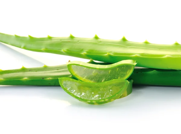 Aloe vera čerstvý list. izolované přes bílou — Stock fotografie
