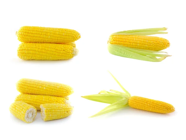 Corn on a white background — Stock Photo, Image