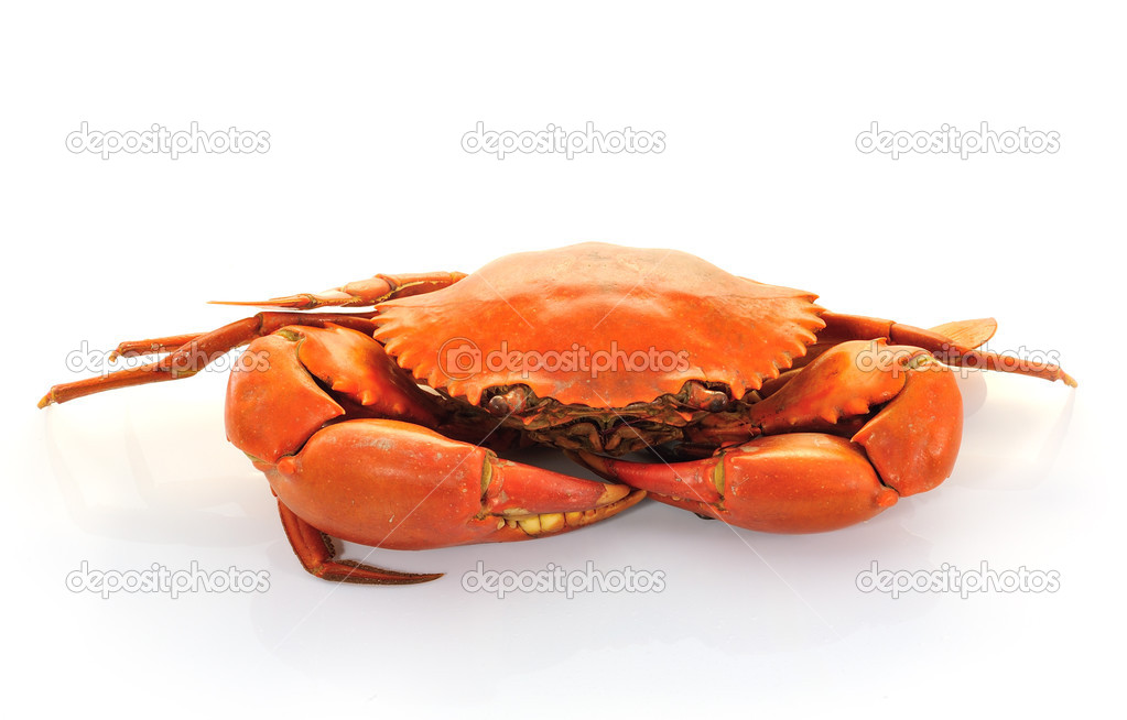 Boiled crabs prepared