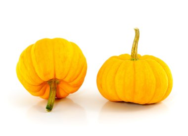 beyaz arkaplanda kabak