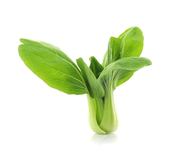 Bok choy (col china) aislado en blanco —  Fotos de Stock