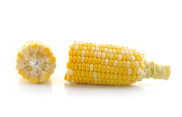 Corn on a white background — Stock Photo, Image