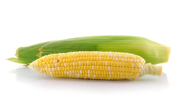 Maïs sur fond blanc — Photo