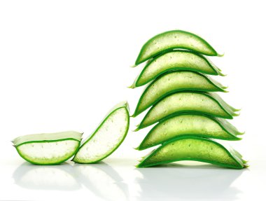 Aloe vera taze yaprak. beyaz üzerinde izole