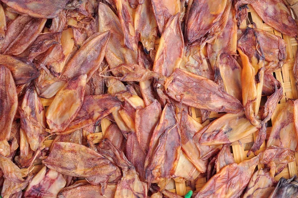 Squid drying — Stock Photo, Image