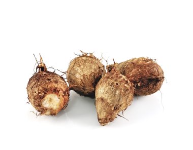 Taro kök beyaz zemin üzerine