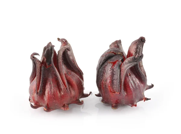 Hibiscus sabdariffa eller roselle frukter – stockfoto