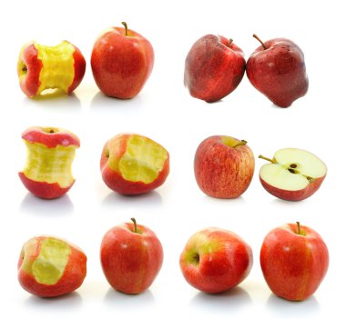 Beyaz arkaplanda kırmızı elma