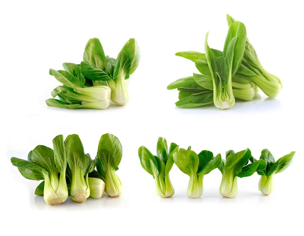 Bok choy (chinese cabbage) isolated on white — Stock Photo, Image