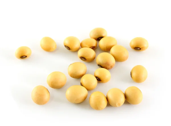 The soya beans — Stock Photo, Image