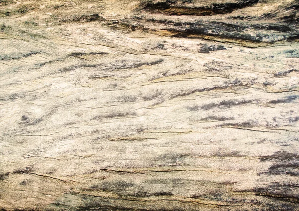 Parede de madeira velha textura fundo. — Fotografia de Stock