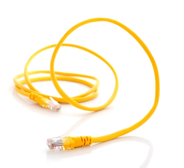 Комп'ютерний кабель Ethernet ізольовано на білому фоні — стокове фото