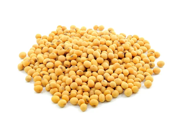 Soya beans — Stock Photo, Image