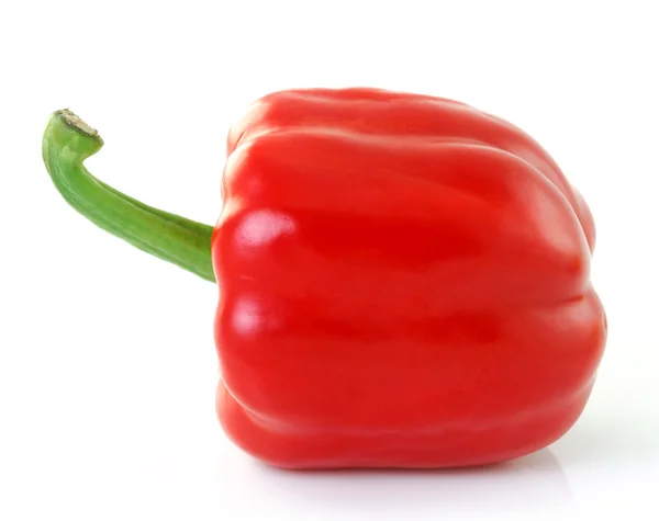 Paprika auf weißem Hintergrund — Stockfoto