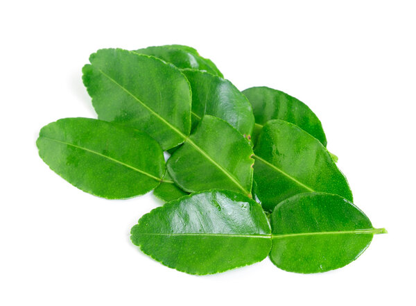Каффировые листья