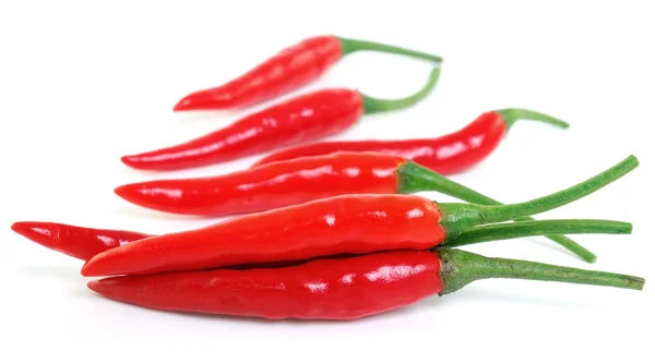 Red hot chili pepper isolated on a white background — Stock Photo, Image