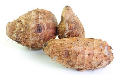 taro kök beyaz zemin üzerine grup