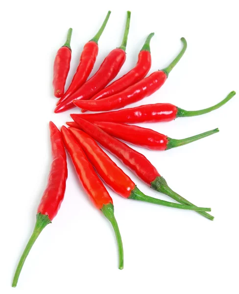 Czerwony gorący pieprz chili izolowany na białym tle — Zdjęcie stockowe