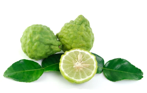 Kaffir citron vert sur fond blanc — Photo