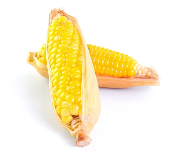 Corn on white background — Stock Photo, Image