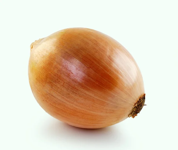 Ripe onion on a white background — Stock Photo, Image