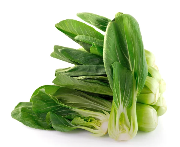 Bok choy (китайская капуста) изолированы на белом фоне — стоковое фото